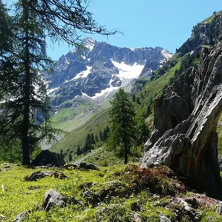 Schöpf